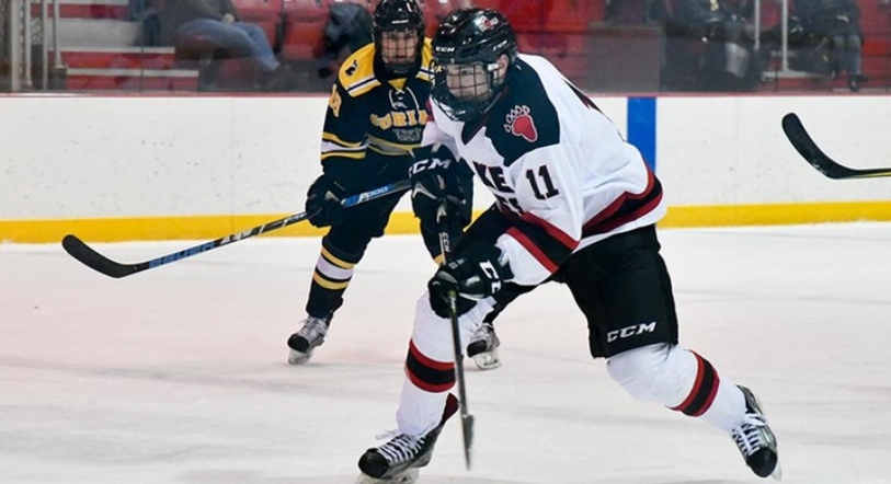 Adrian to appear in NCHA Harris Cup Finals for fifth year in a row