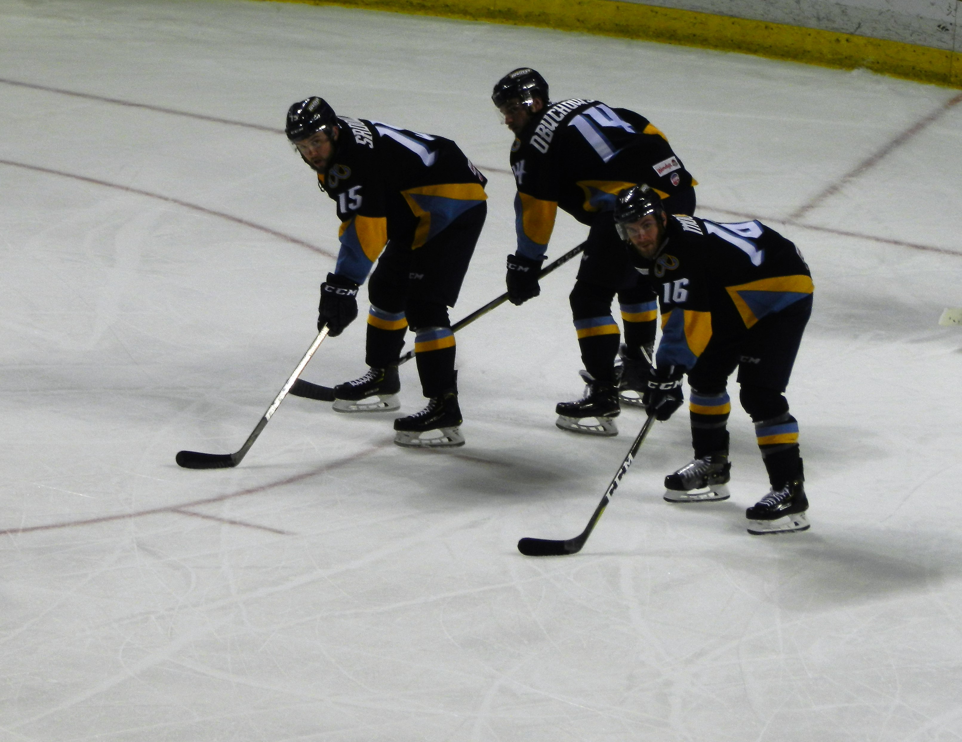 Toledo Walleye Hockey Recipe for a Successful Evening