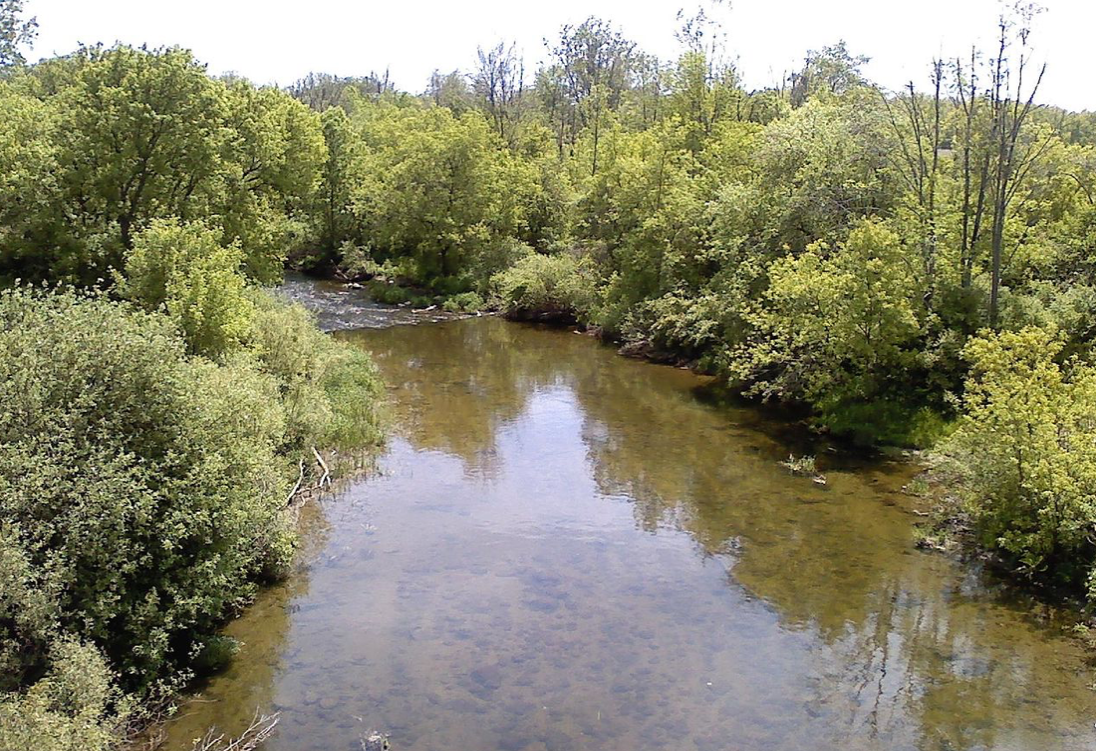 Authorities Searching for Crocodile in Michigan’s Clinton River