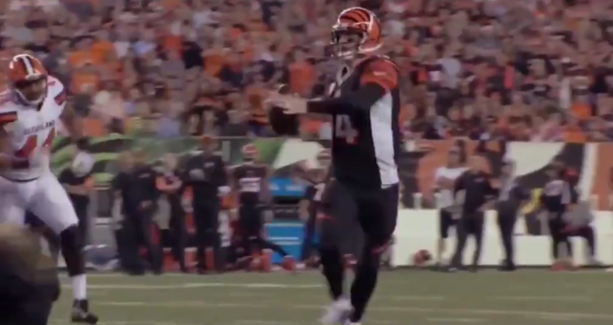 Chicago Bears Are Signing QB Andy Dalton