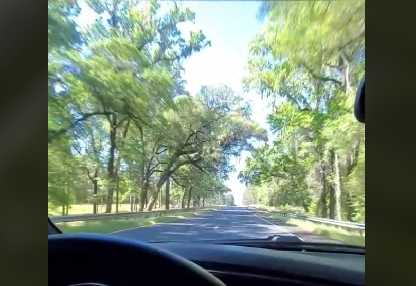 VLOG: AstroTurf Sent Me to Florida to Film and I Made This TikTok