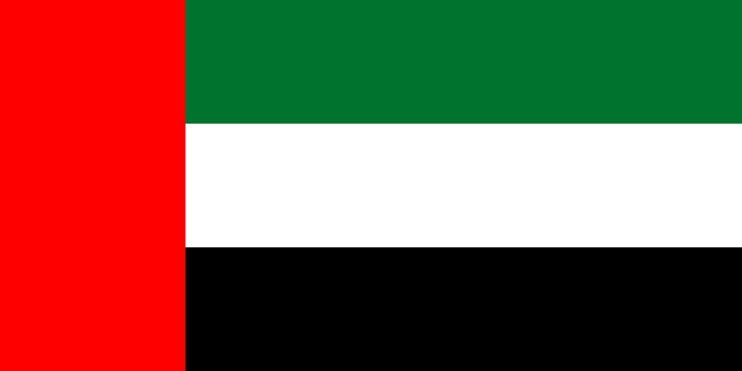 IMMAF Welcomes The UAE Mixed Martial Arts Federation